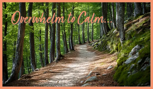 From Overwhelm to Calm