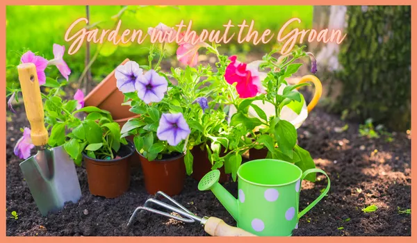 Garden Without the Groan