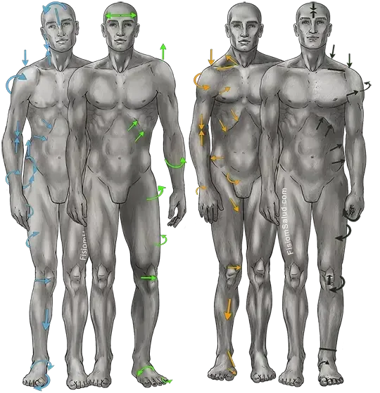 desalineaciones biomecanicas