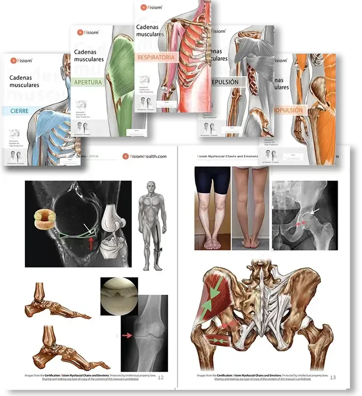 dosier cadenas musculares