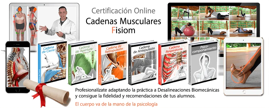 certificacion cadenas musculares