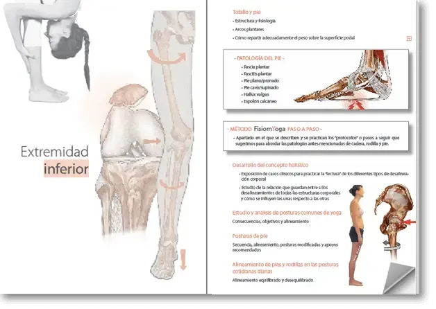 programa lesiones y patologas