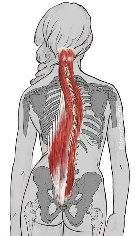 dolor escoliosis