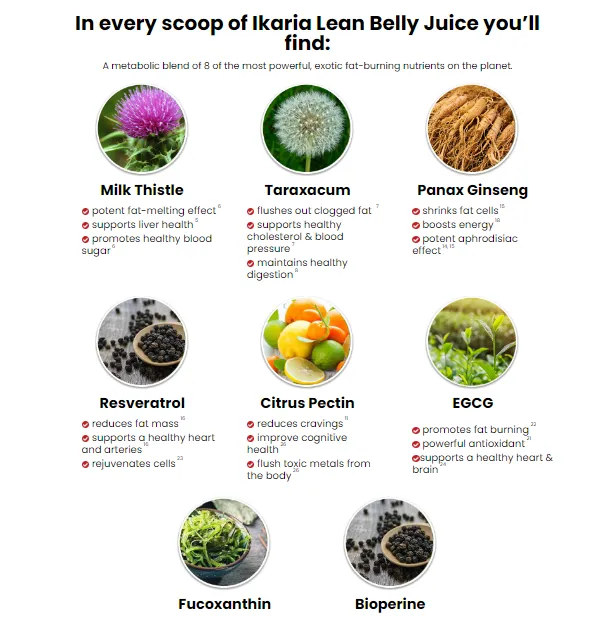 lean belly juice ingrdients 