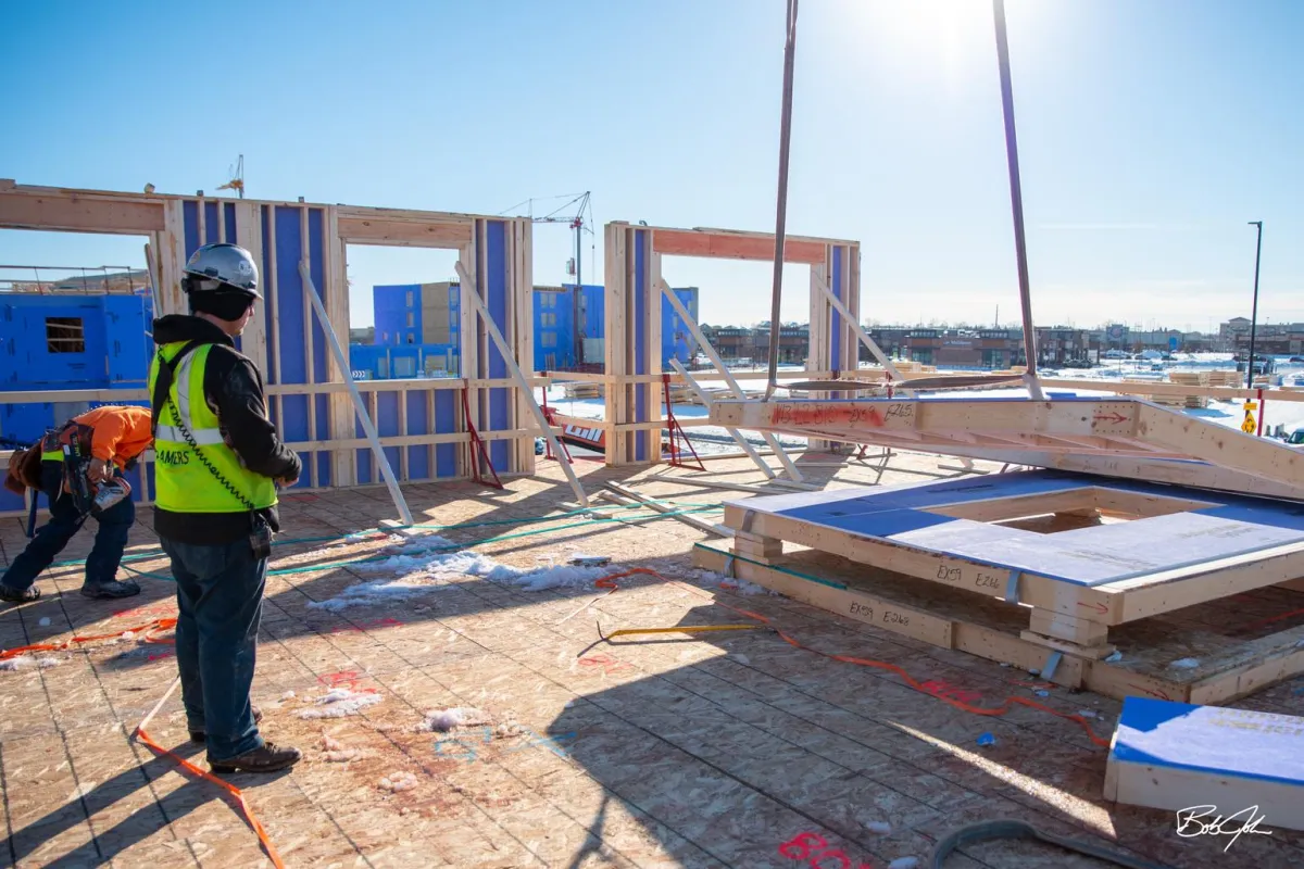 Timberland Lumber Company  - Building Process