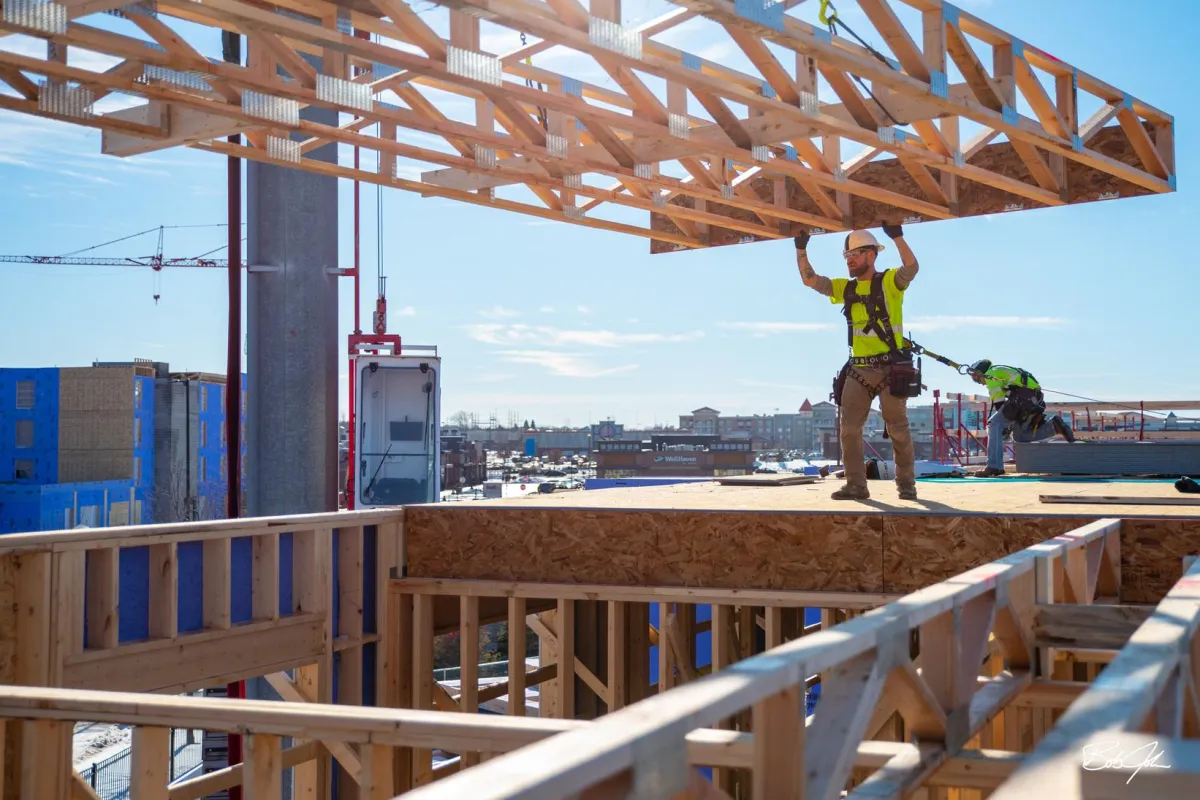 Timberland Lumber Company  - Building Process