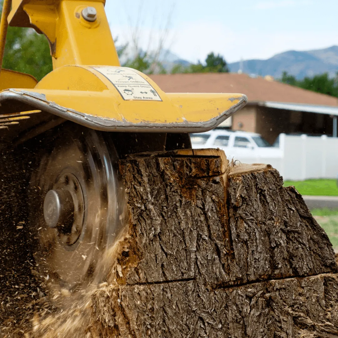 Stump Grinding