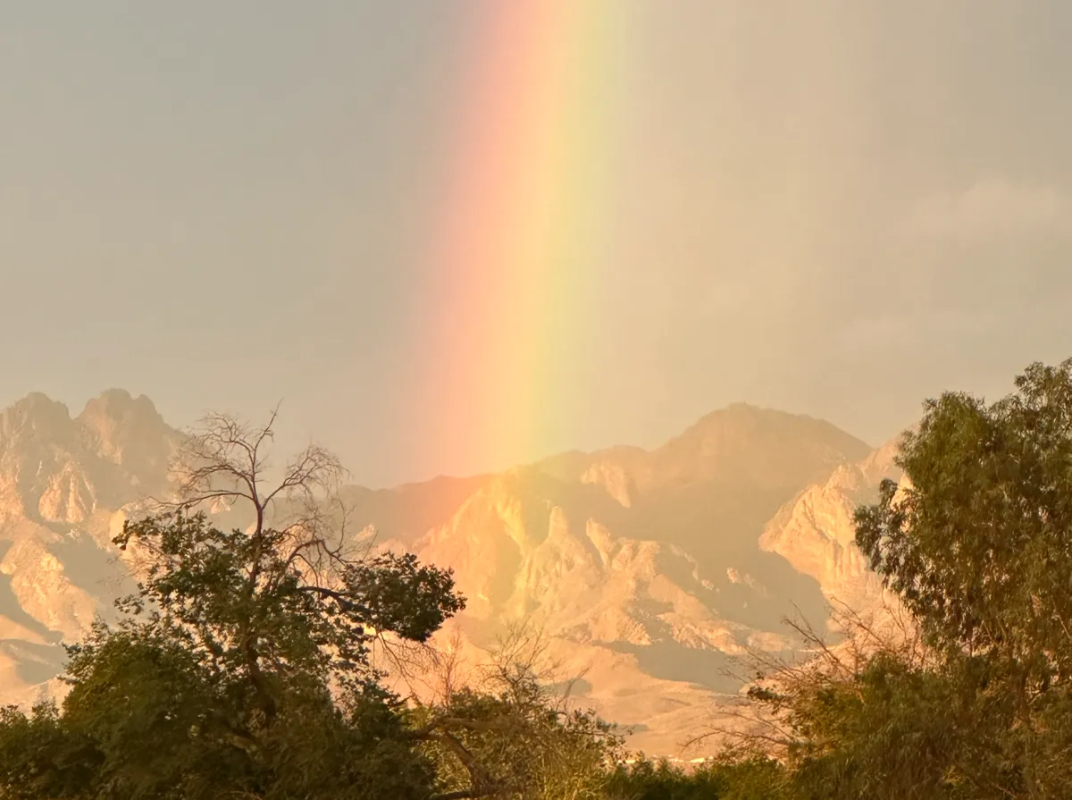 Why I Started Transforming Life with Heidi