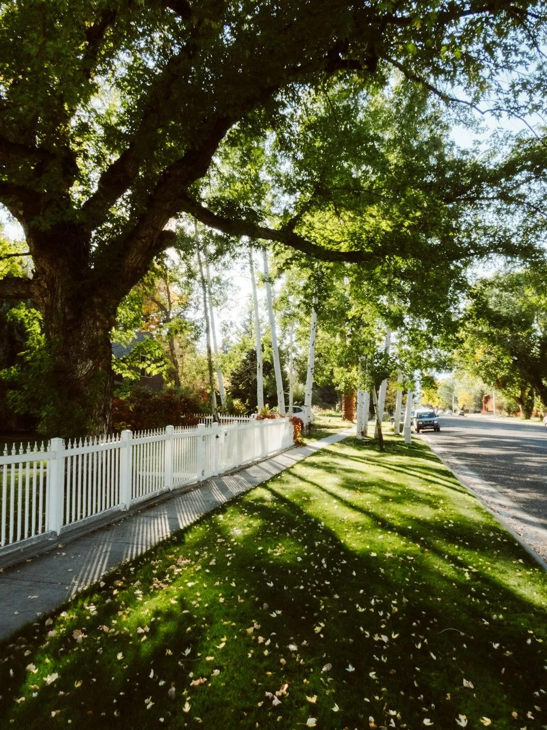 Buying a Home in Cody Wyoming — What Every Buyer Needs to Know