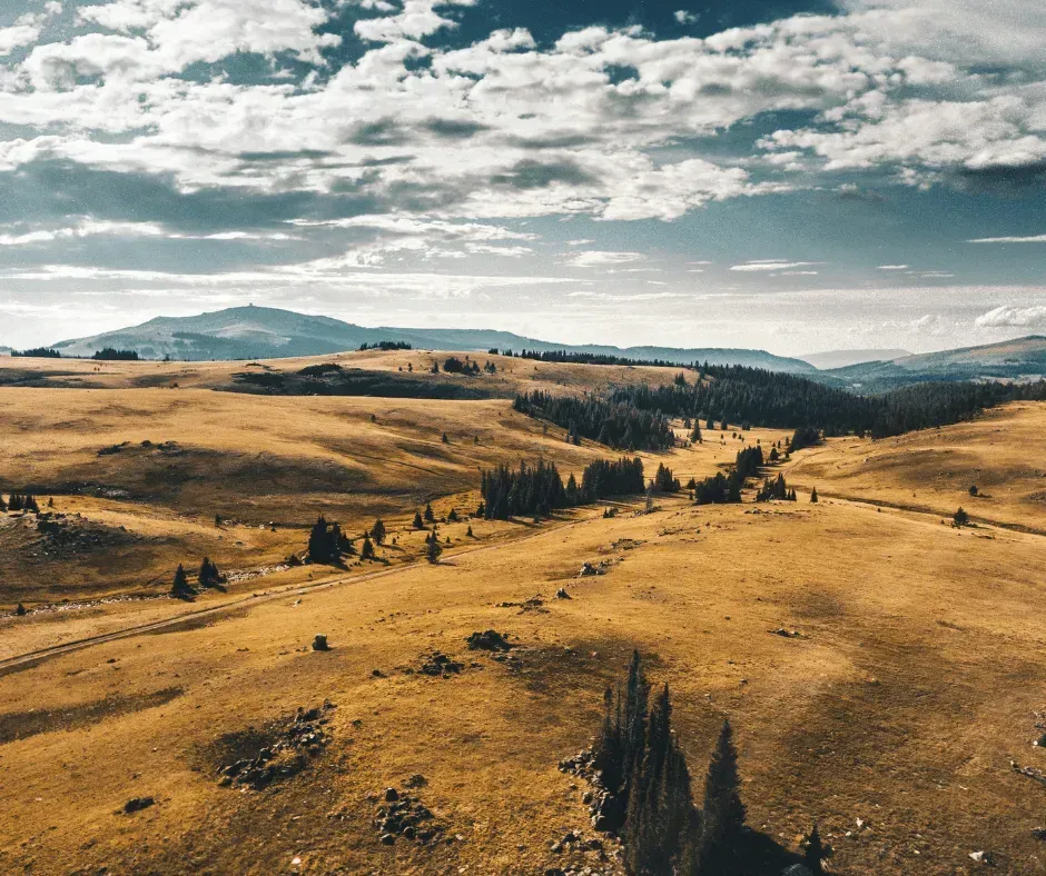Sweeping aerial view of vast golden rolling hills with pine tree clusters and distant mountains under dramatic skies in Clark Wyoming — open range land for sale near Cody