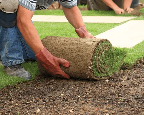  Landscape Maintenance