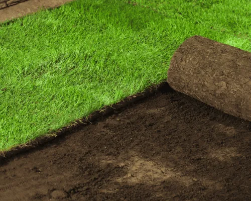 Sod Installation in Brevard County