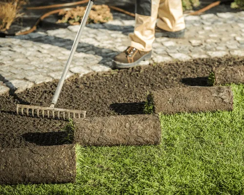 Merritt Island Sod Installation