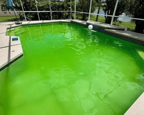 Decorative Installation Brevard County