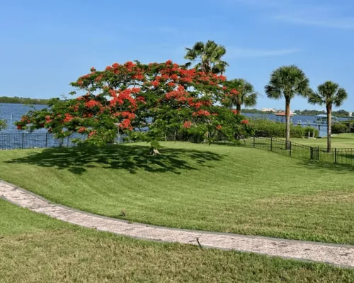 Landscape Maintenance in Brevard County