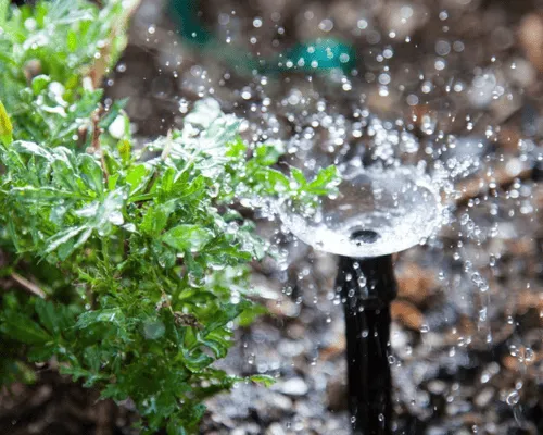 Irrigation Systems in Brevard County