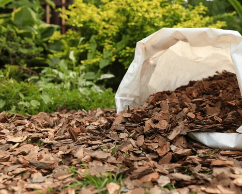 Landscape Maintenance