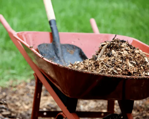Merritt Island Mulch Installation