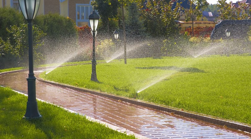  Landscape Maintenance