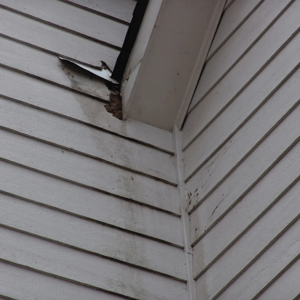 Exterior wall streaks from poor gutter drainage system