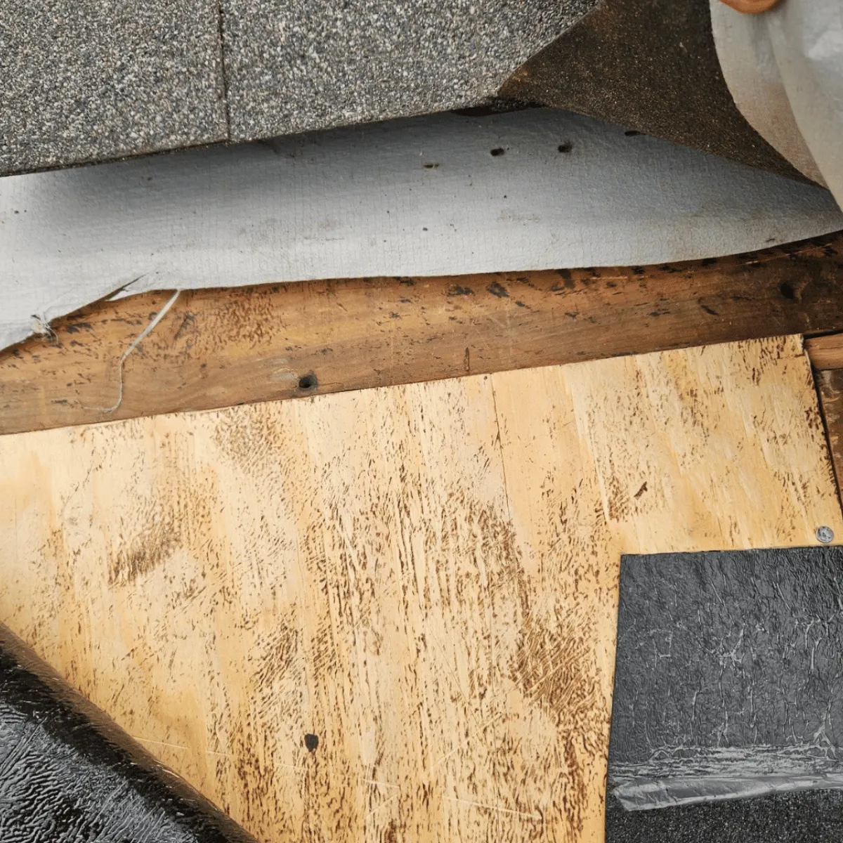 Asphalt Roof Damage