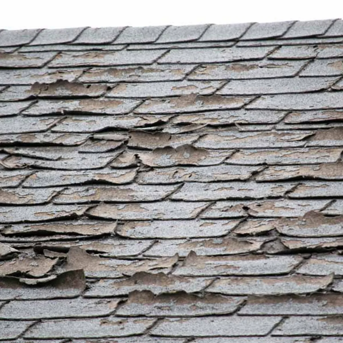 aging roof shingles before replacement