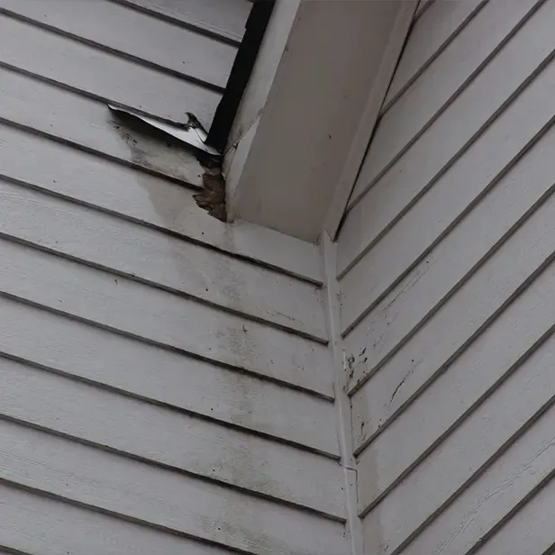 Exterior wall streaks from poor gutter drainage system