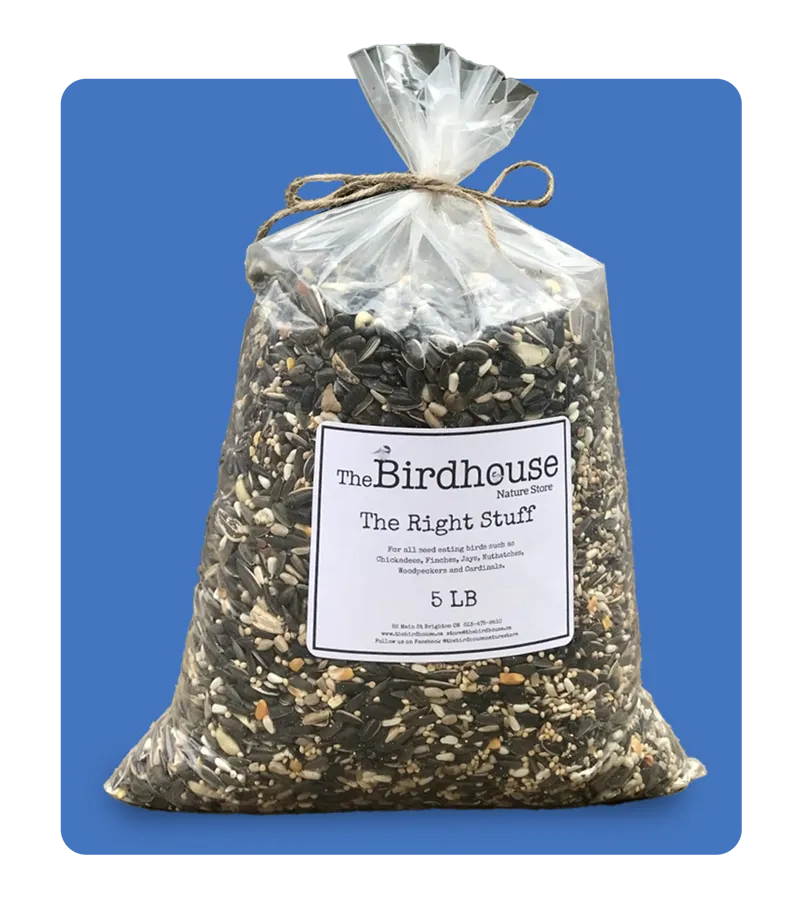 The Right Stuff Birdseed Blend