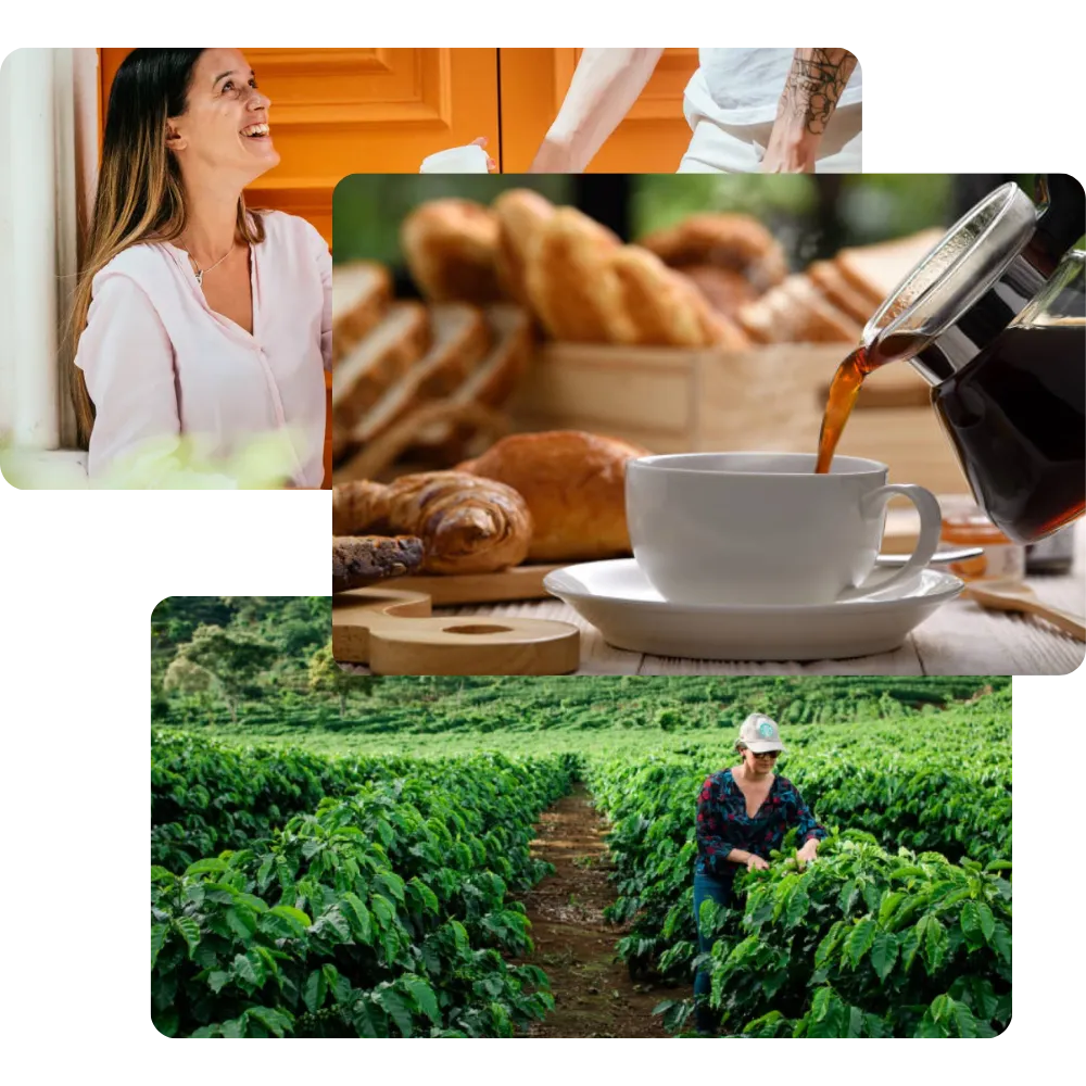 reggeli brunch foglalás