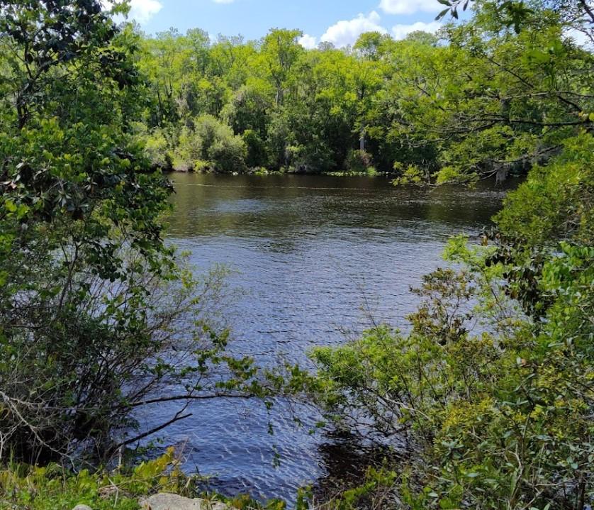 Black Creek Ravines Conservation Area In Middleburg Forida