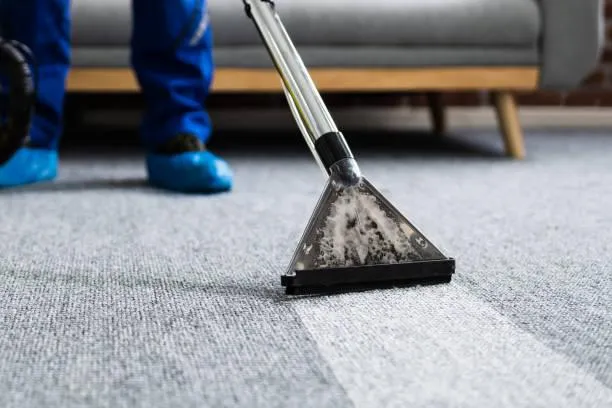 Image of a Caret being cleaned by a carpet cleaner