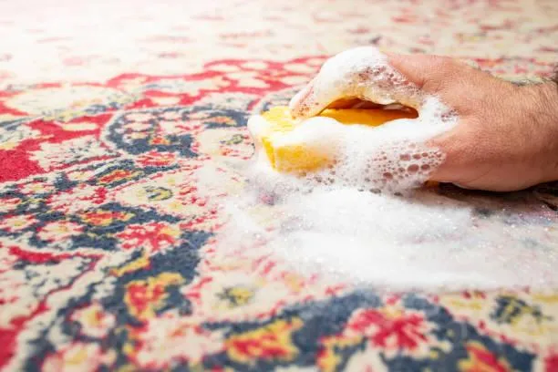 Image of a Persian Rug being cleaned by hand using a sponge and soap