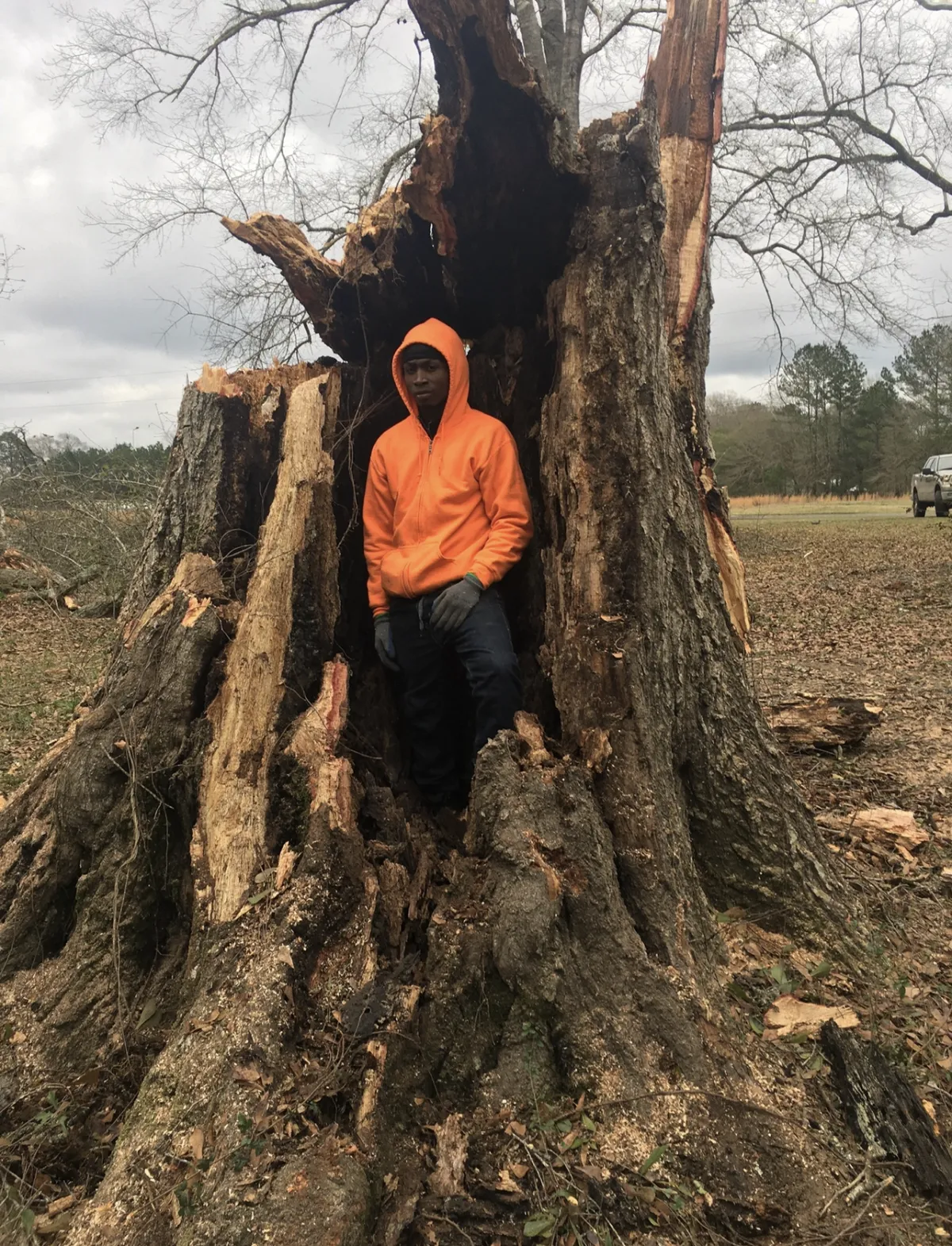 Stump Grinding Service in DeRidder & Leesville, LA | Davis Tree Works