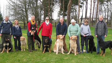 Dedicated staff at the Canine Country Club