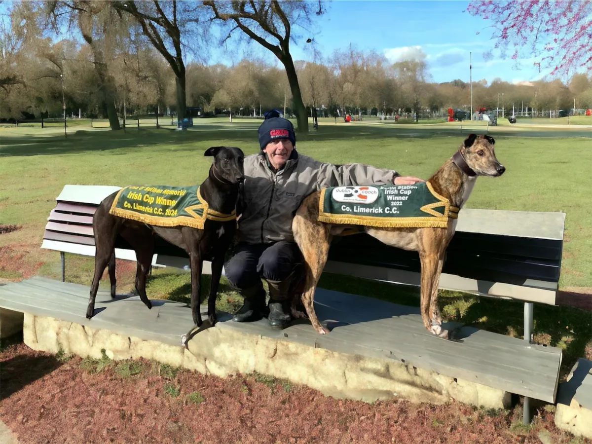 Dedicated staff at the Canine Country Club