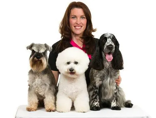 Cat looking out of her heated chalet