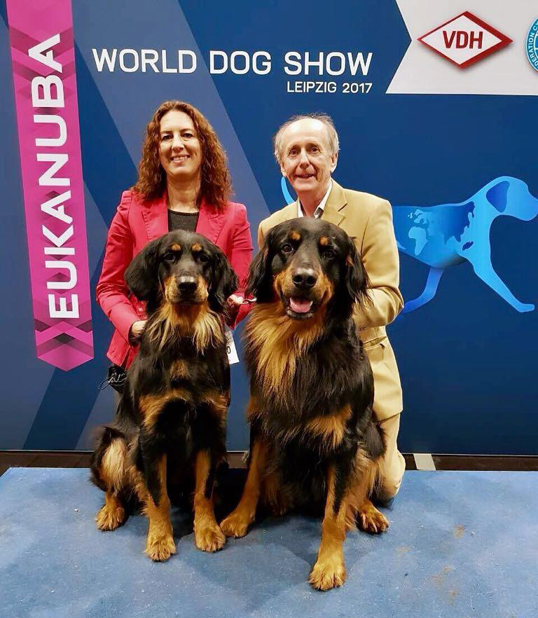 Happy healthy well cared for cats