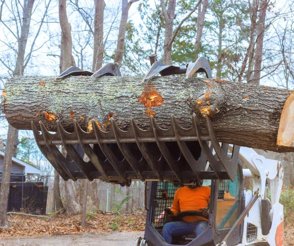 {{ custom_values.service_1 }} in {{custom_values.biz_area_1})