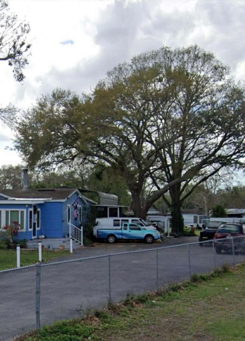 Sun City Center Tree Removal