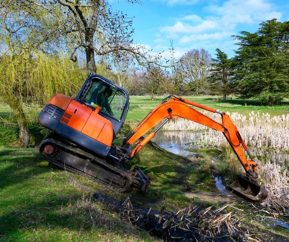 Pond Clearing in Tampa