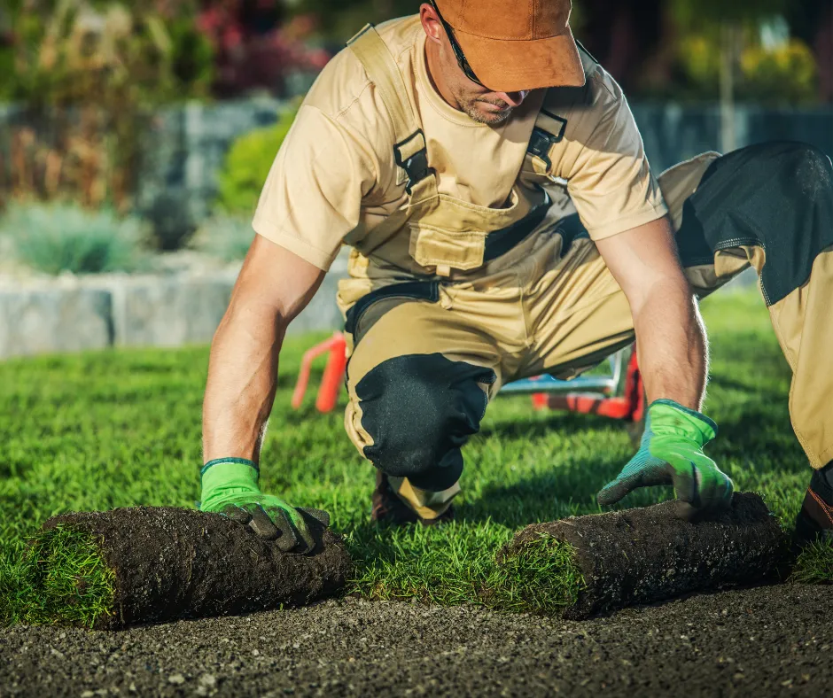 Landscaping in Tampa