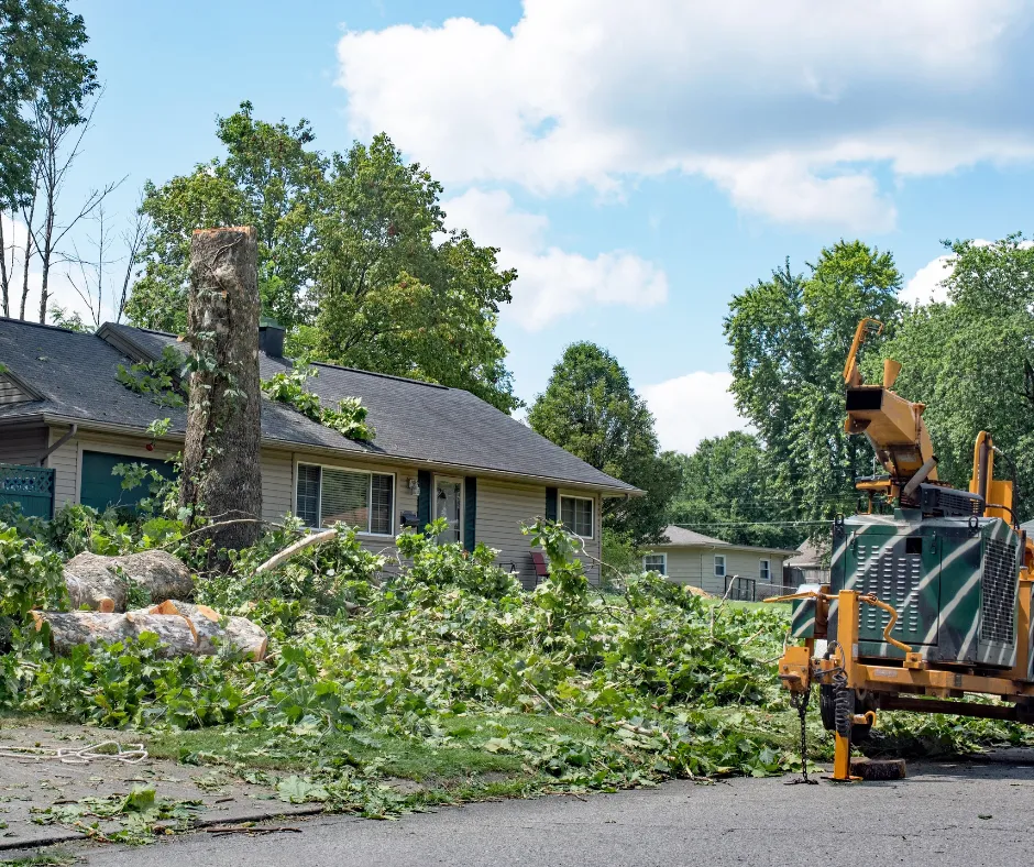 Sun City Center Site Prep
