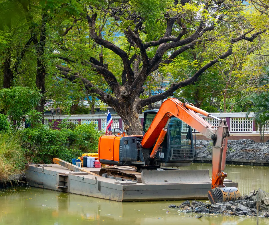 Westshore Pond Clearing
