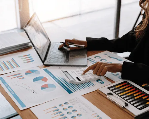 Owner-occupied Properties 