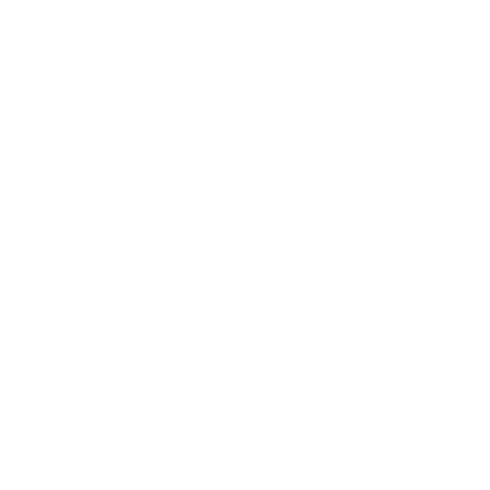 Google logo for clearly unique charters