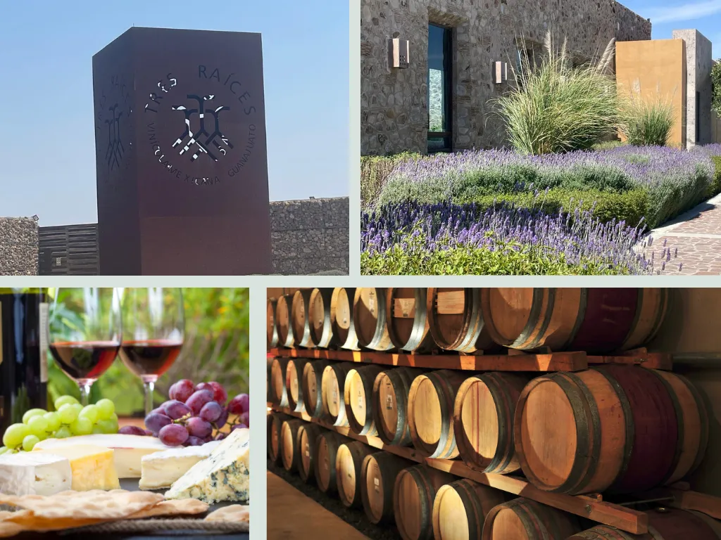 Tres Raices Vineyard