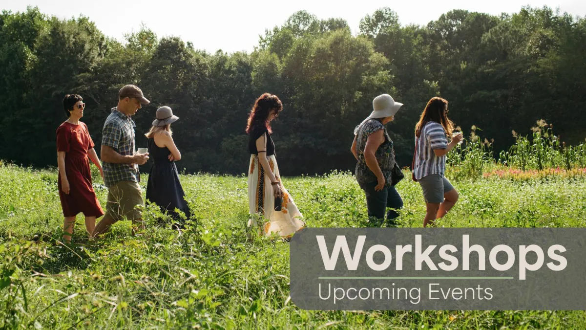 Guests attending a holistic gut health workshop touring a local farm