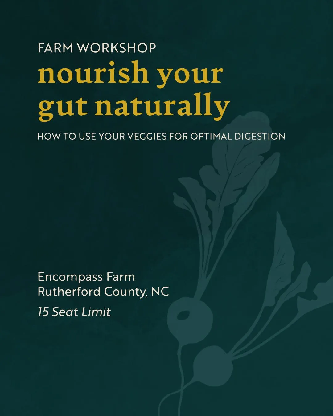 Flyer for Nourish Your Gut Naturally Workshop—a seasonal, farm-to-table event focused on gut health, digestive wellness, and hands-on food education