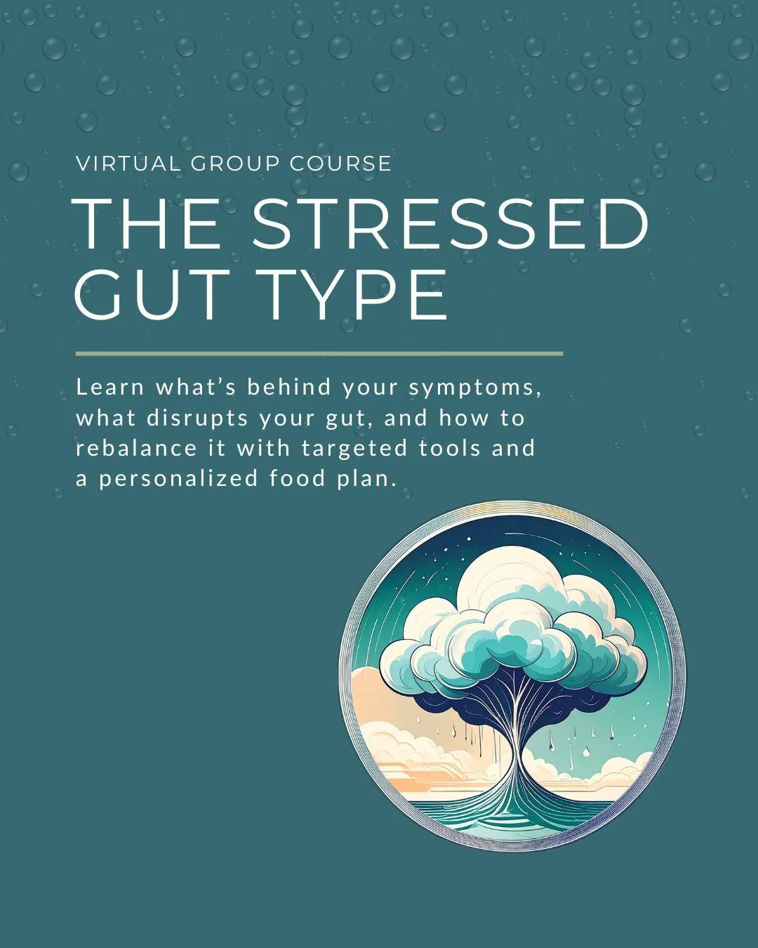 Flyer for Virtual Group Course: The Stressed Gut Type. Learn what disrupts your gut and how to rebalance it.