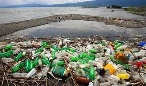 Contaminación por plásticos y basura en la playa, destacando su impacto negativo en la pureza del agua potable y el llamado a solicitar un análisis de agua gratuito